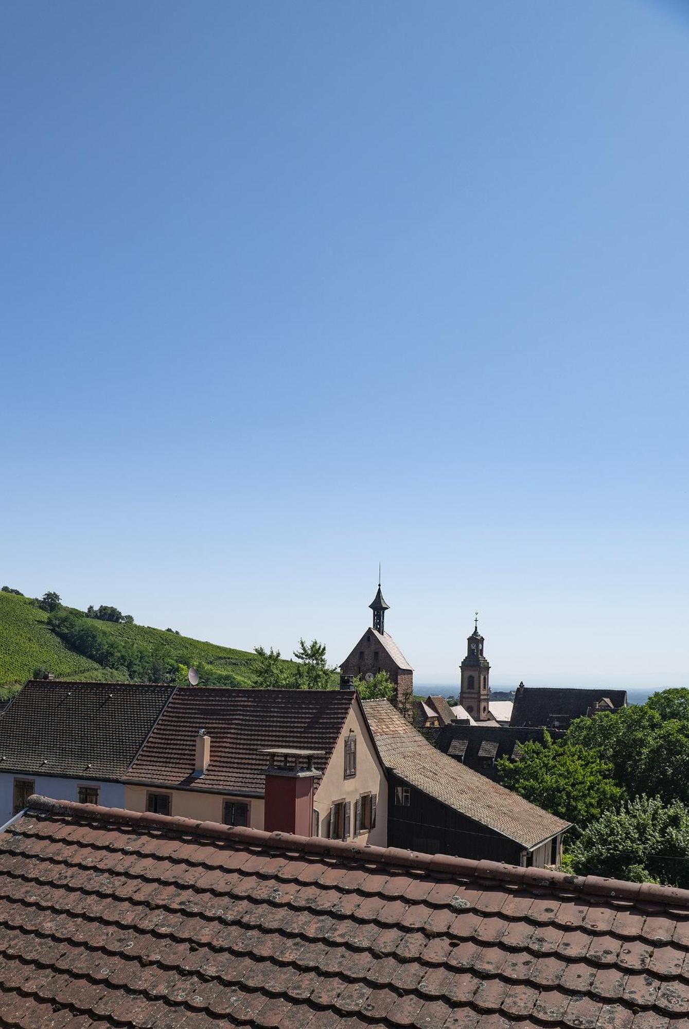 Riesling - Vue Imprenable Sur Le Vignoble - Renove Recemment - Parking Gratuit Apartment Riquewihr Bagian luar foto