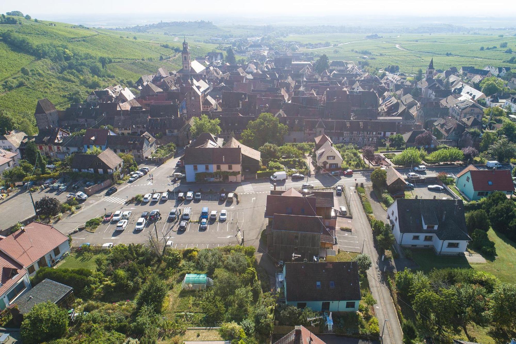 Riesling - Vue Imprenable Sur Le Vignoble - Renove Recemment - Parking Gratuit Apartment Riquewihr Bagian luar foto